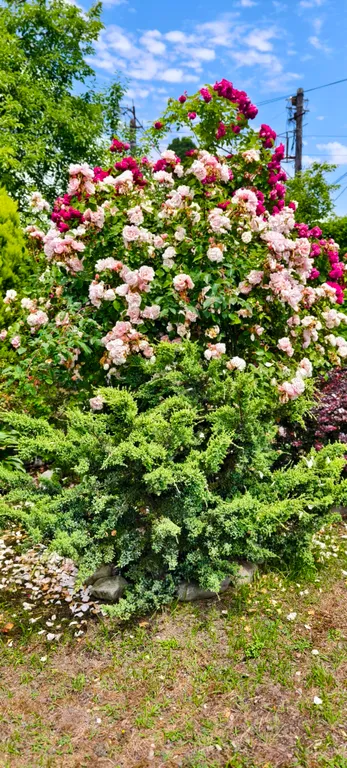 Гостевой дом Anna