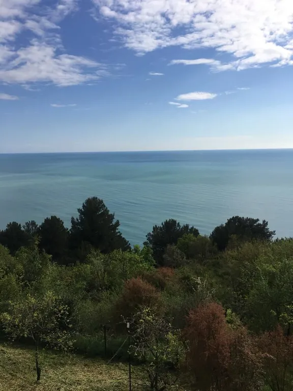 Трехместный номер с шикарным, панорамным  видом на море