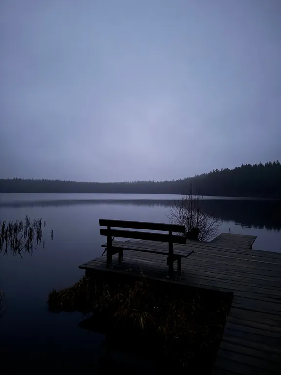 Дом в лесу рядом с озером