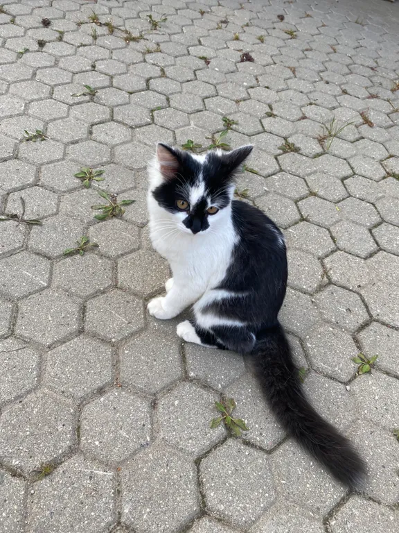 Эко-дом в центре