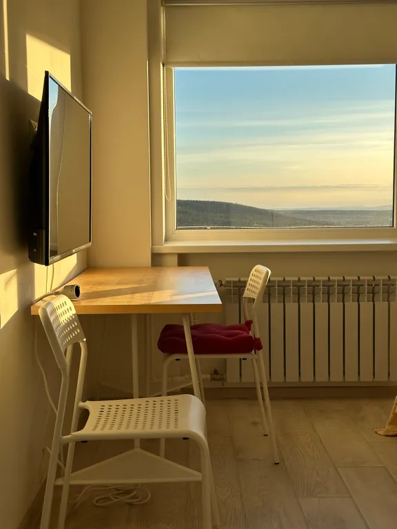 Двухкомнатная квартира с двумя санузлами и шикарным видом из окна