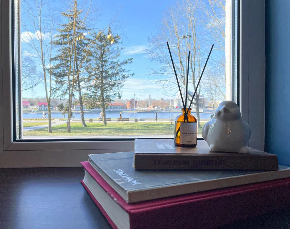 Трёхкомнатная квартира с видом на набережную в центре В. Новгорода