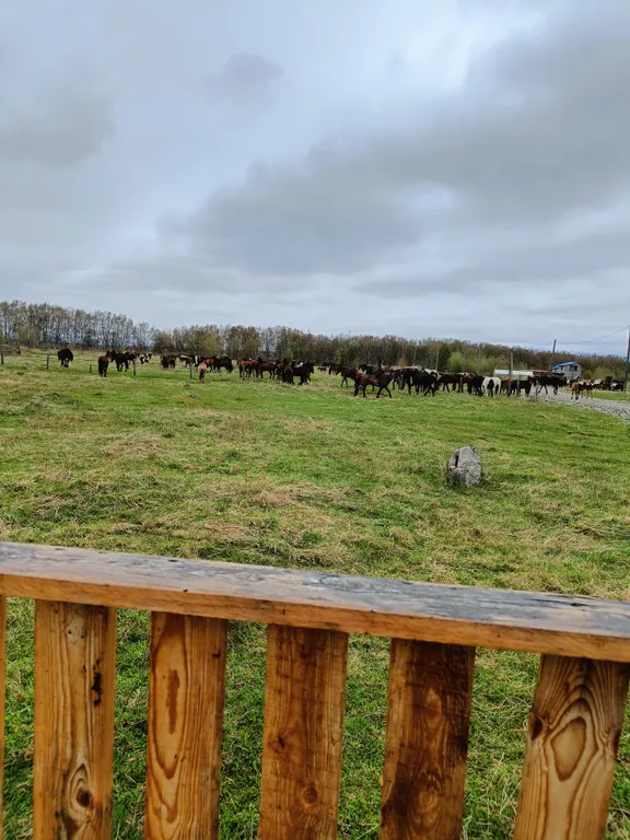 Гостевой дом Ферма