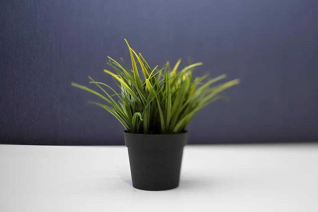 Уютная квартира с современным ремонтом