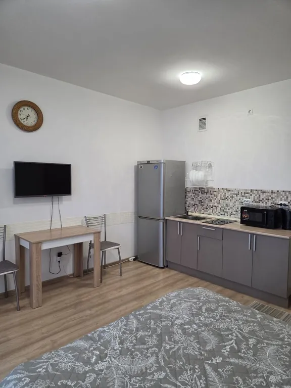 Уютная студия в Академическом районе