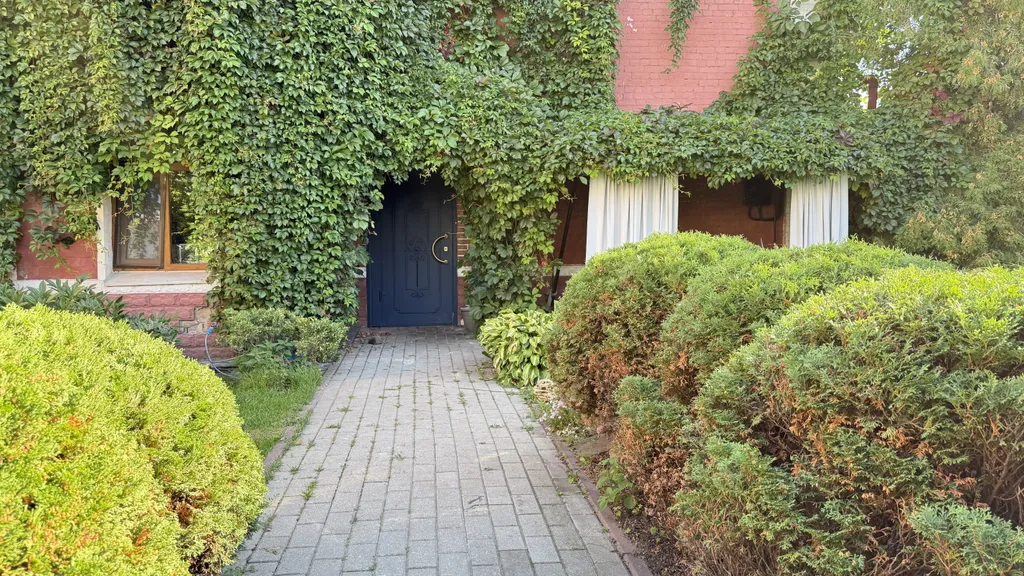 Эксклюзив - дом-сад у главной елки Ярославля, катка Советской площади