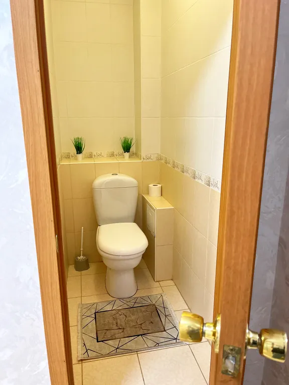 Квартира на Бакинской рядом с ТЦ Алимпик