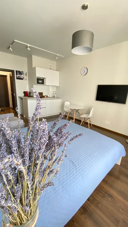 Квартира Квартира Уютная студия в одном из центральных районов Санкт-Петербурга — Санкт-Петербург