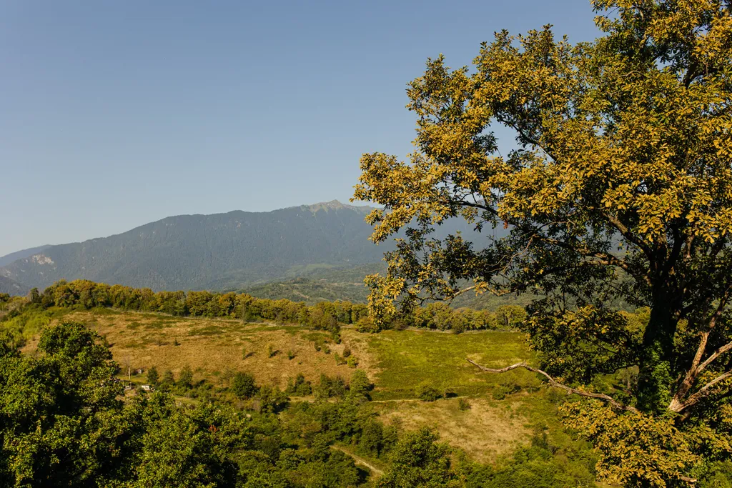 Глэмпинг Светогорье