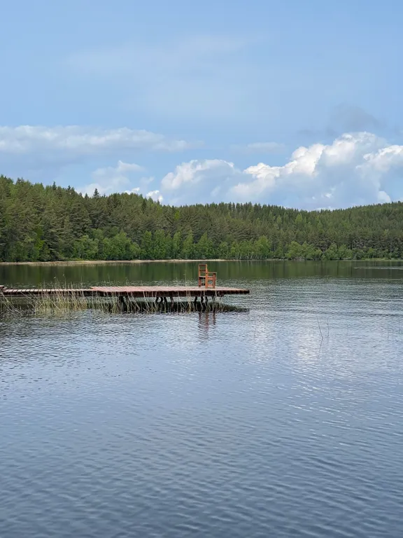 Сосновое шале на берегу Сямозера