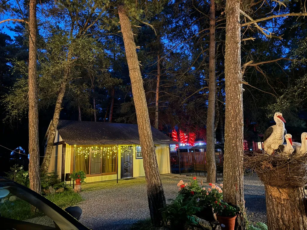 Коттедж 3-комнатный Дом — Архыз