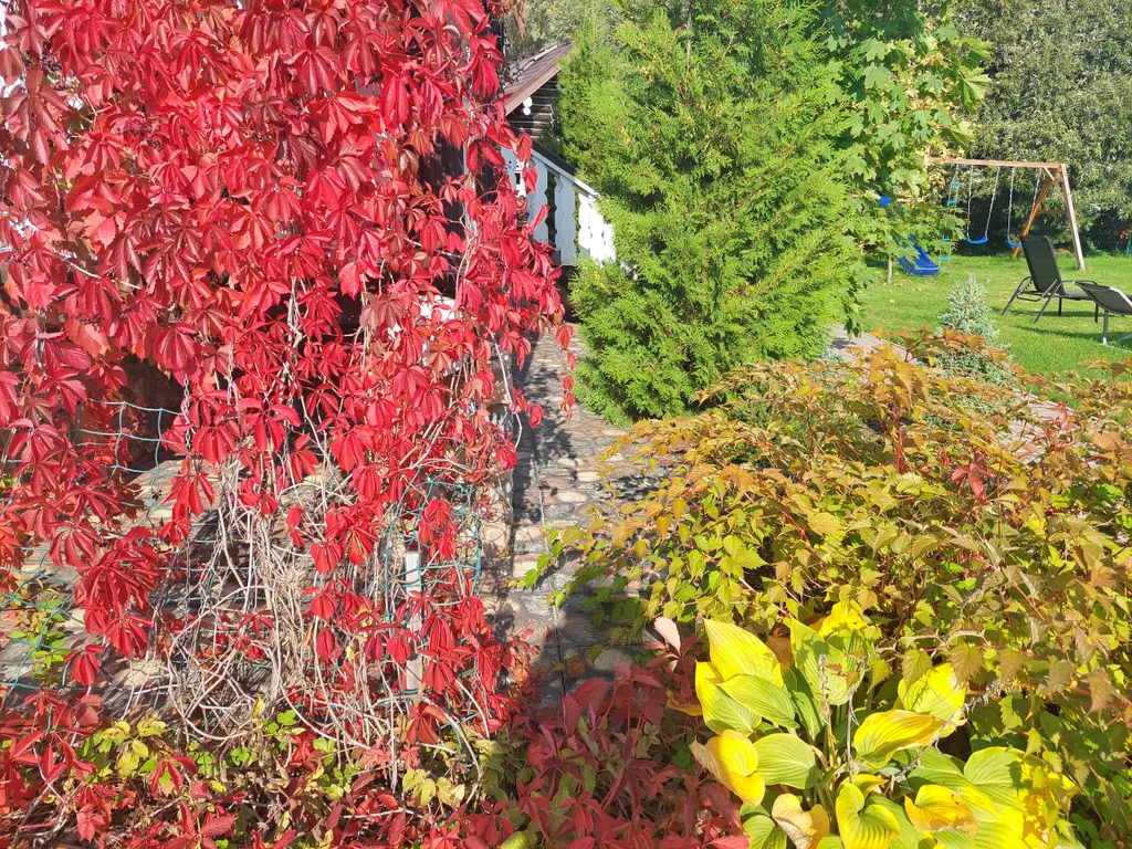 Уютный двухэтажный дом из бруса с видом на Валдайское озеро