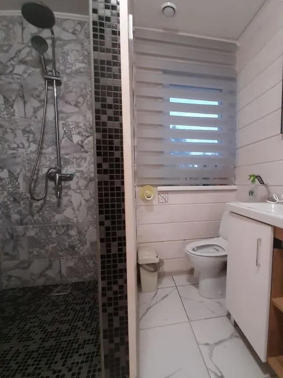 Дом в Сосновом бору