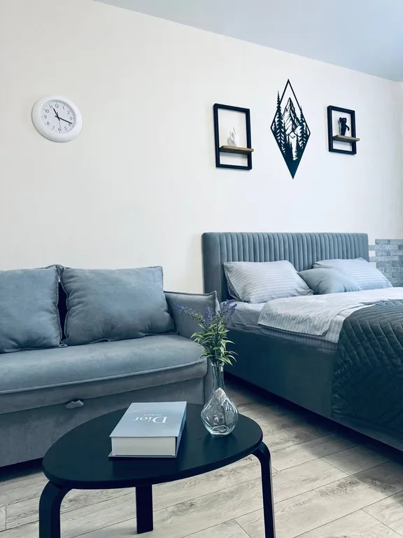 Квартира Уютная, комфортабельная квартира с безумным видом на город — Красноярск