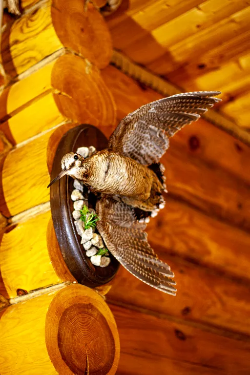 Гостевой дом Hunter house