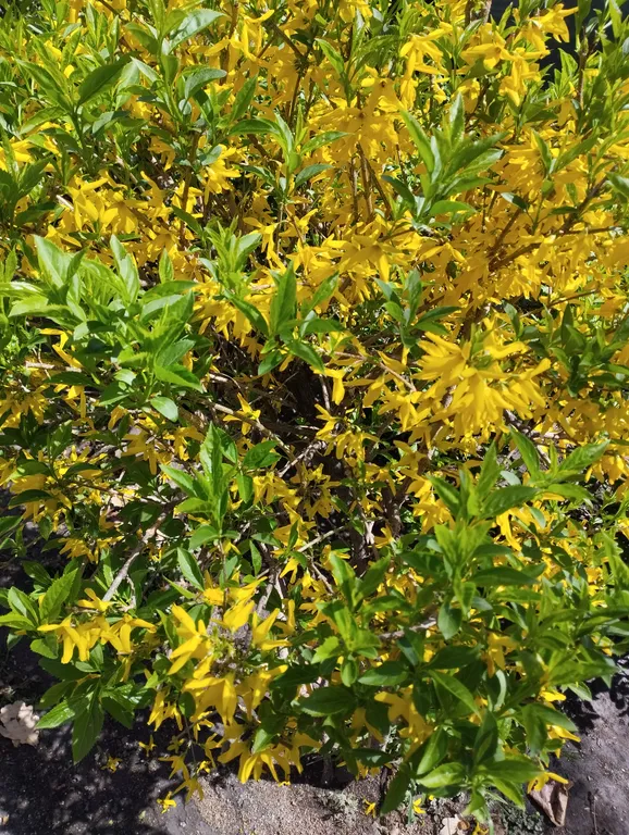 Уютная квартирка вблизи Площади Республики