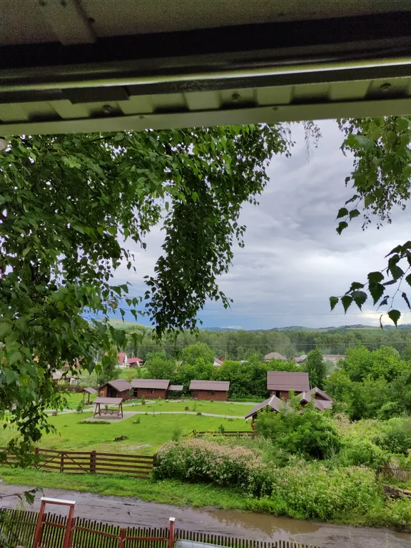 Домик в стиле бунгало на склоне берёзовой рощи