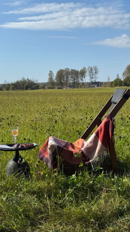Скандинавский дом с джакузи, сауной и видом на живописное поле