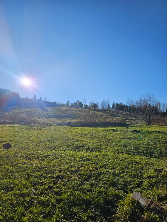 Новый уютный дом с камином