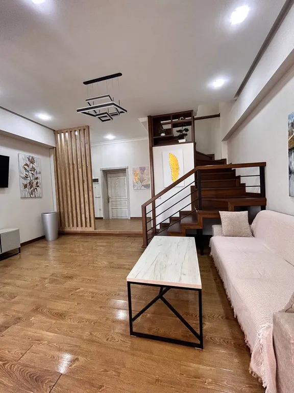 Дуплекс в центре города