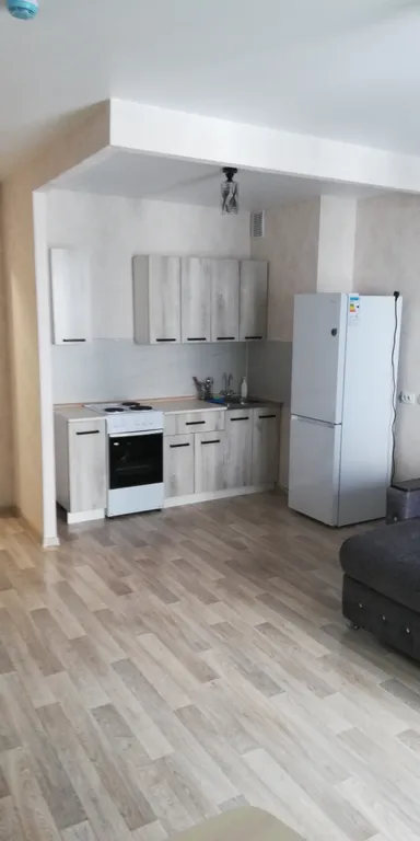 Удобная квартира на Спандаряна — аренда посуточно в Красноярск