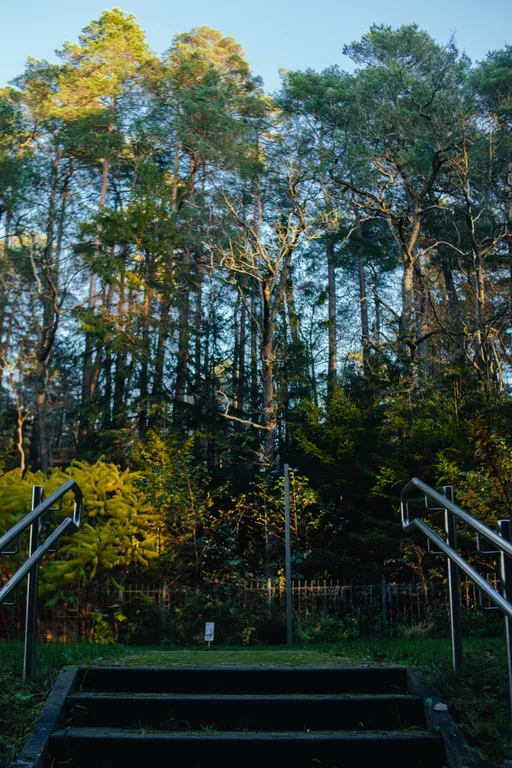 Квартира Квартира Rauschen Green Lake — Светлогорск