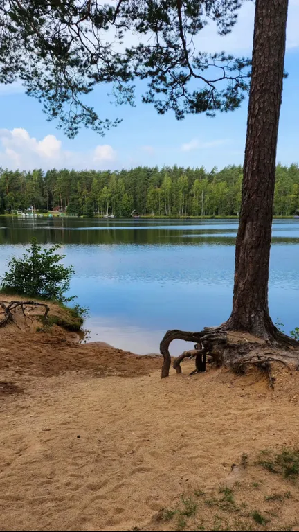 Коттедж Гостевой дом Уютная Орхидея — Первомайское