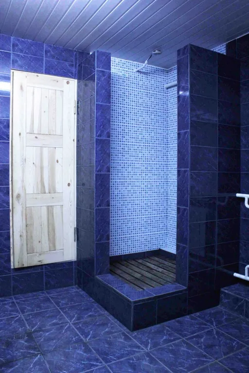 Дом с баней в центре города Гродно