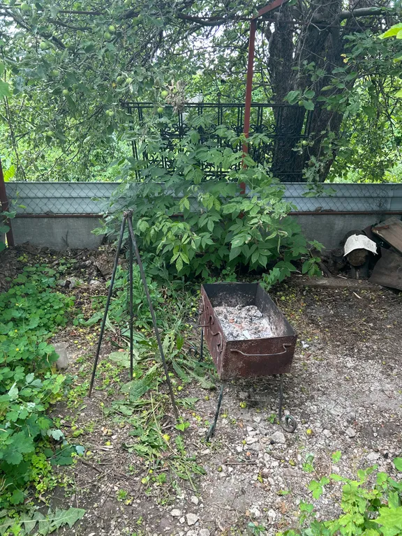 Домик в центре города