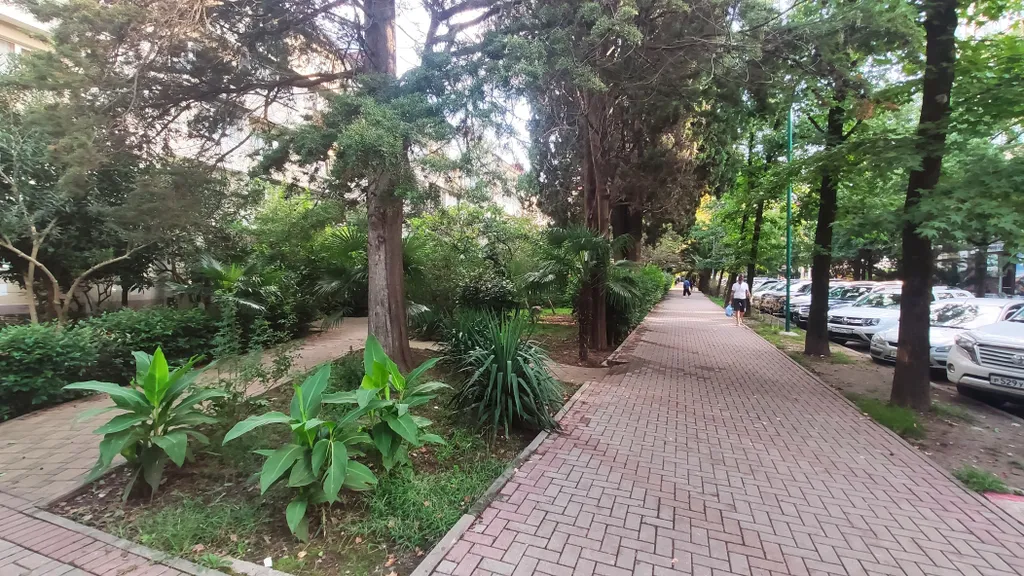 Апартаменты Роз в центре города