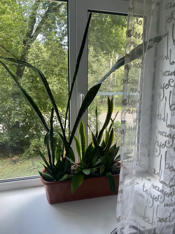 Квартира в центре с видом на Волгу