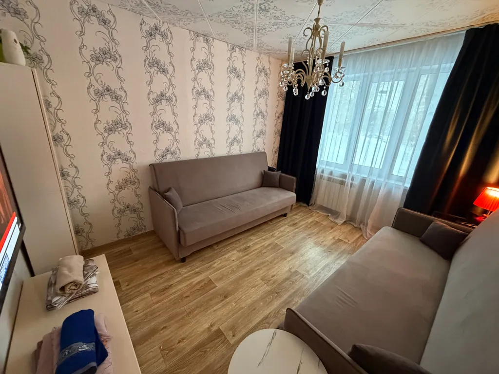 Просторная однокомнатная квартира в пяти минутах от ИК5