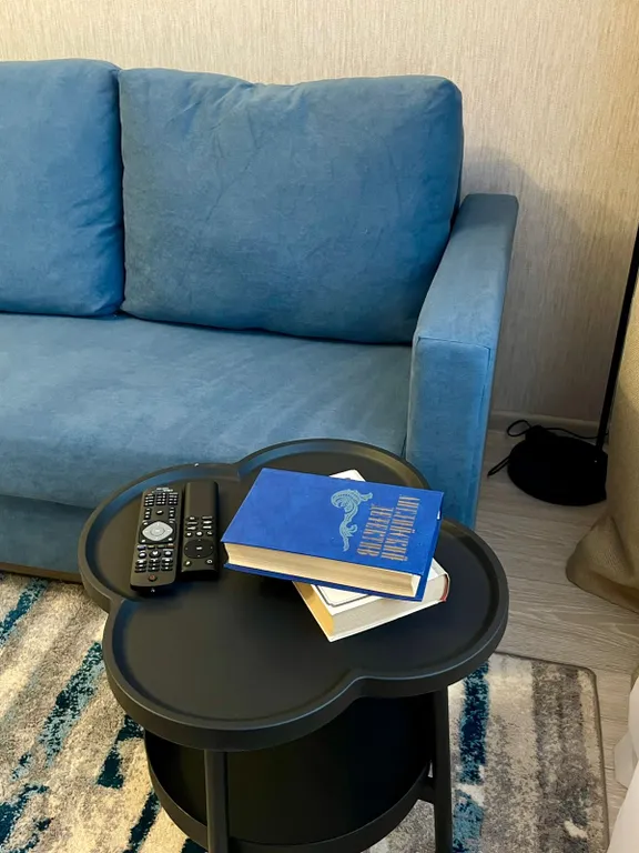 Комфортные двухкомнатные апартаменты рядом с жд вокзалом