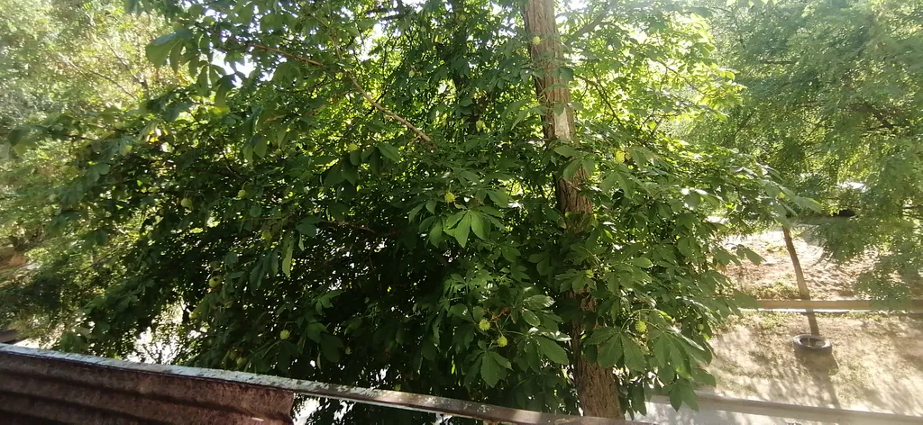 Уютная квартирка рядом со СХИ