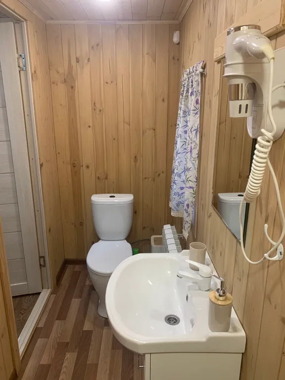 Дом Лебедевых