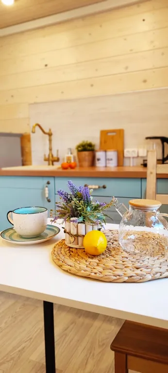 Коттедж Домик около Красного села с видом на поле и лошадок — Санкт-Петербург