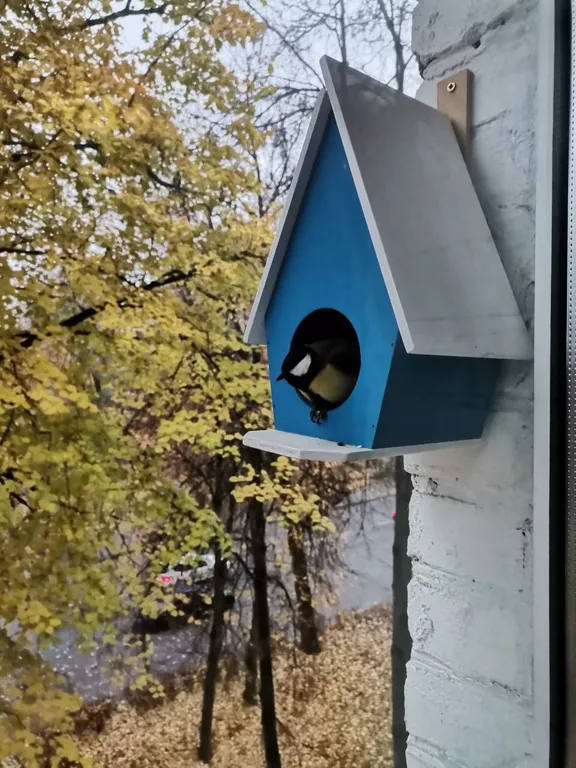 Квартира Атмосферные апартаменты — Пушкин