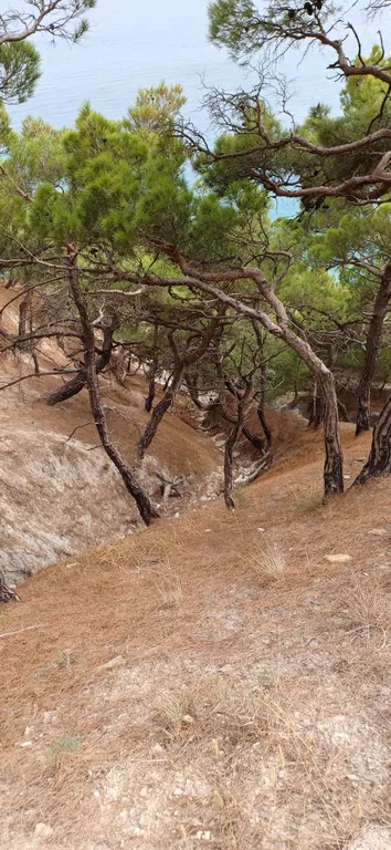 2-комнатная квартира на берегу моря