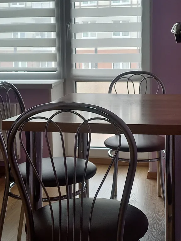 Квартира Уютная квартира в тихом районе Светлогорска — Светлогорск