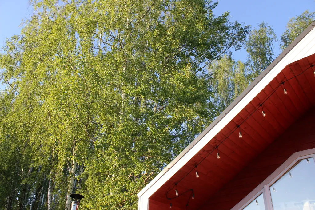 Отдых в уютном домике у леса