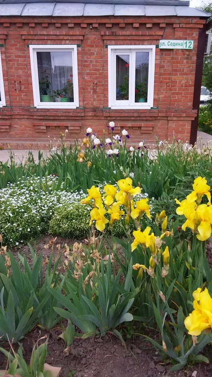 Домик у моря