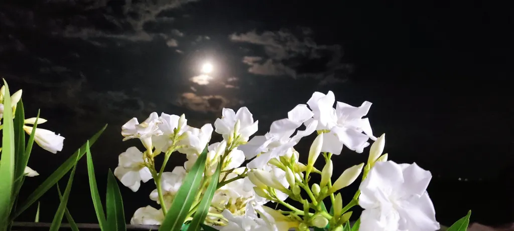 Квартира с видом на море