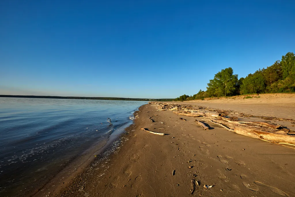 Студия на берегу Обского моря в бору Сказочный лес