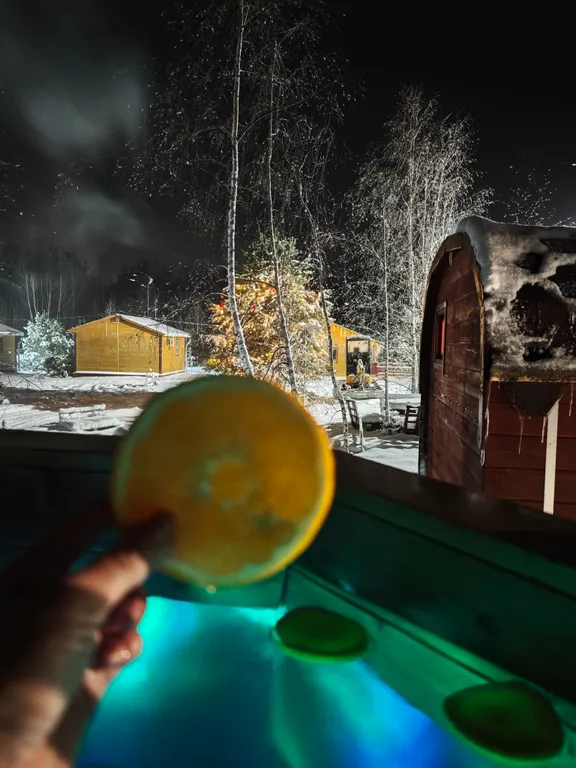 Дом с видом на лес Дача садовника