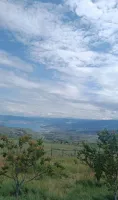 Халум Магомедова