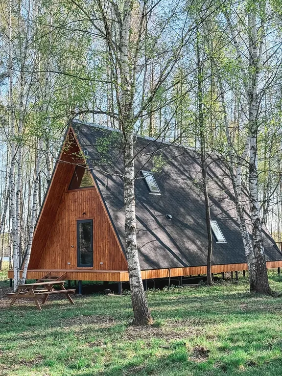 Коттедж Большой треугольный дом 90м2 с завтраком — Куровское