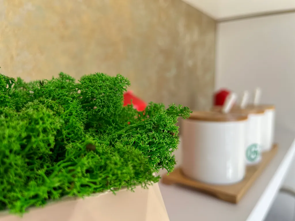 Panoramic Green House