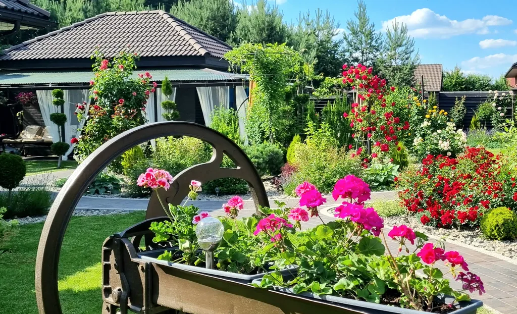 Brest dream garden. Атмосферный гестхаус с шикарным видом на лес