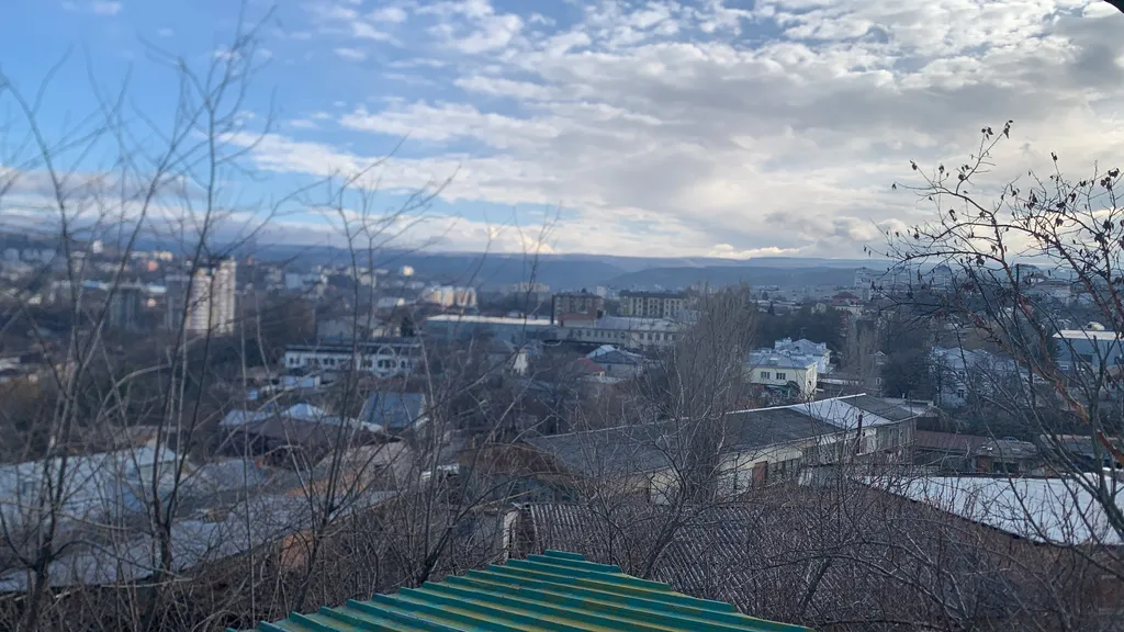 Особняк Береза