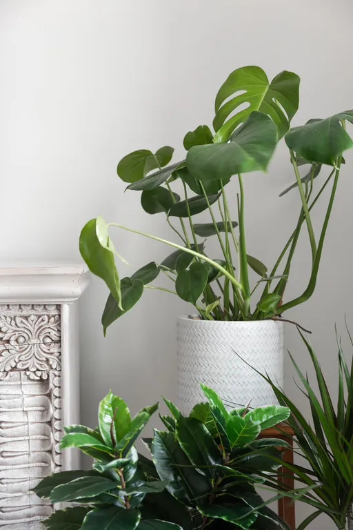 Квартира Белая квартира у парка — Санкт-Петербург